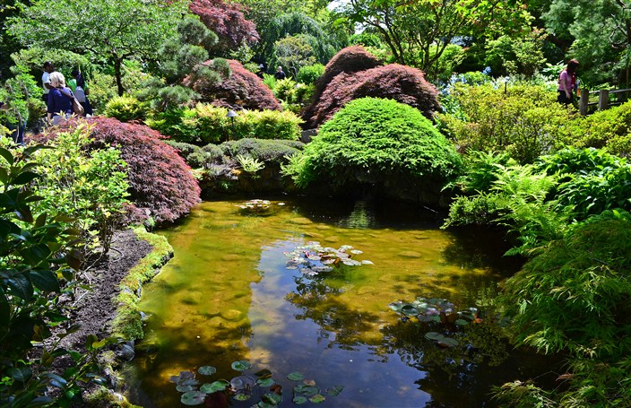 Pool of water and light in the Japanese Garden